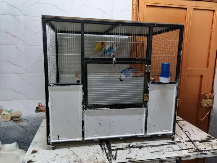 اقفاص  طيور روز منتجة 2