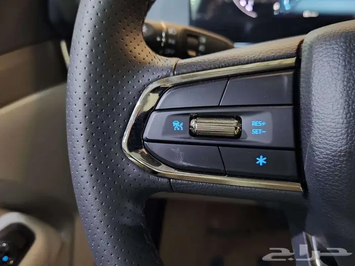 فورد تيريتوري جميع الفئات 2025 18