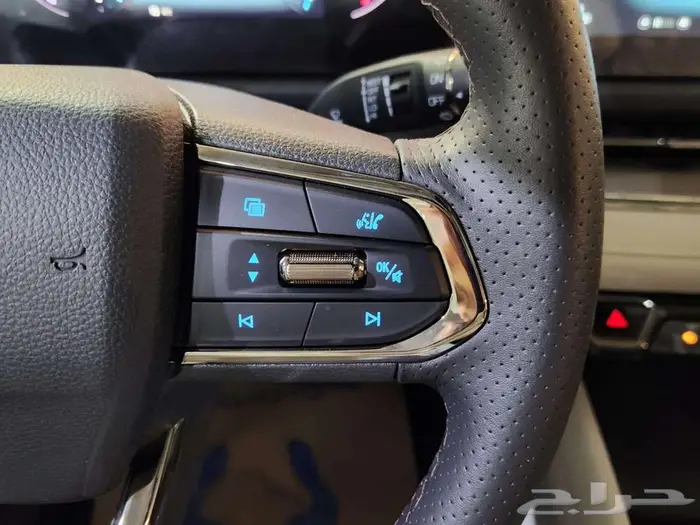 فورد تيريتوري جميع الفئات 2025 19