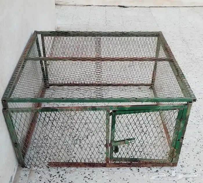 شبك دجاج 0
