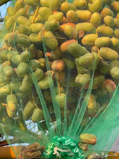 رطب للبيع ( بالصمان) 1