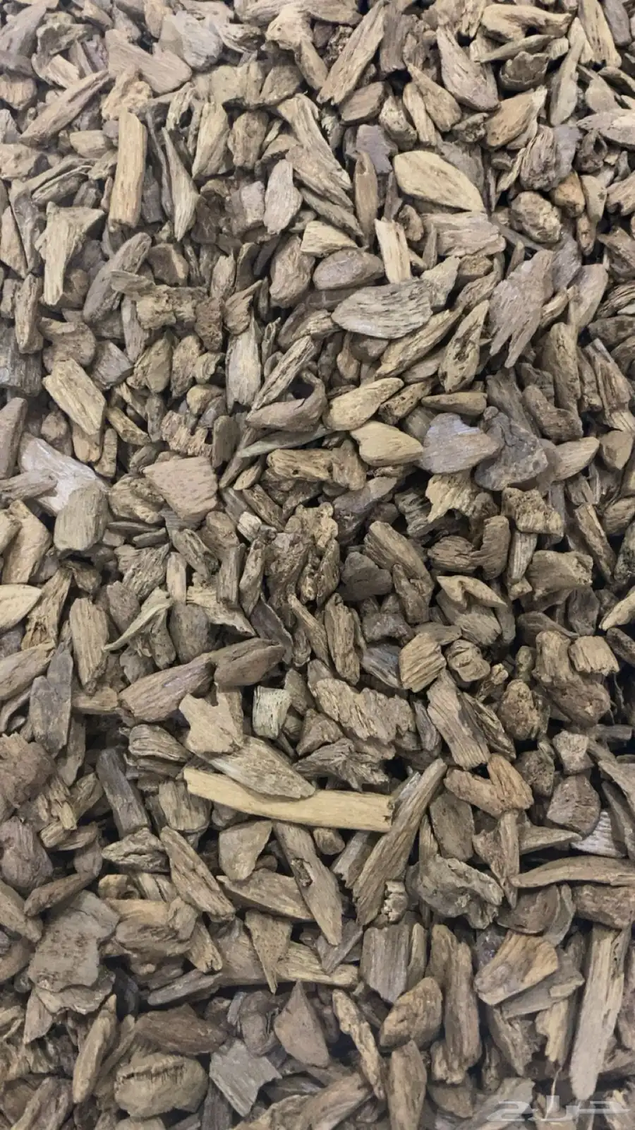 عود موروكي طبيعي سوبر ودبل سوبر 3