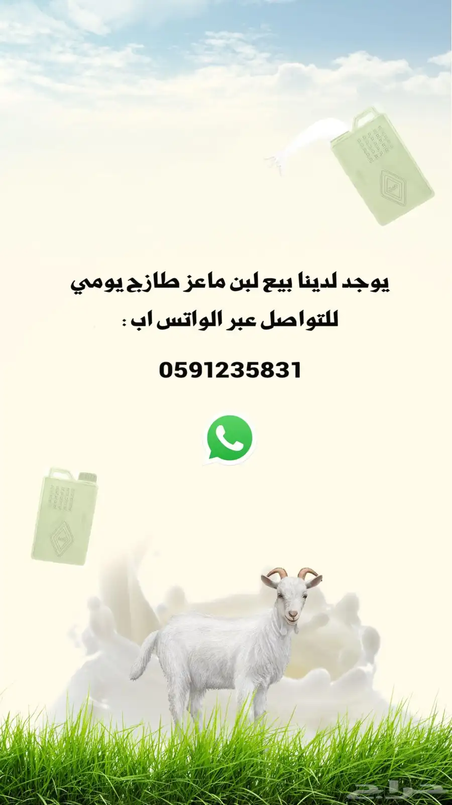 لبن معزا طازج يومي شغل نظيف index