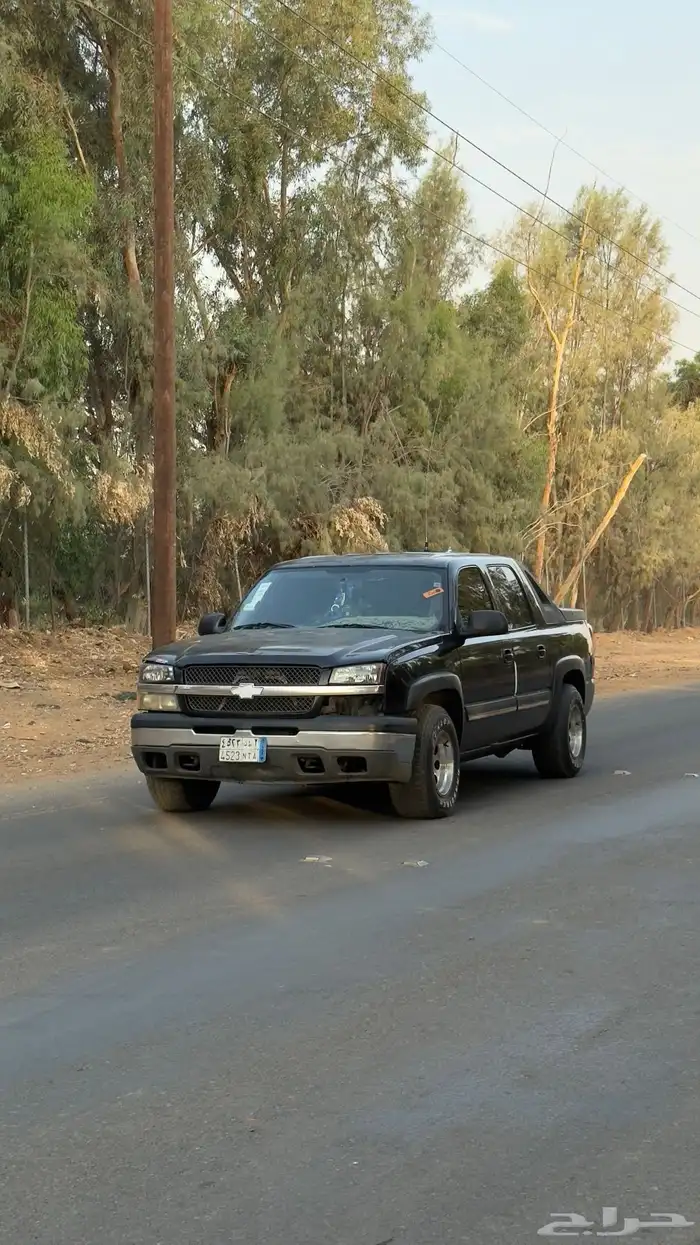 افلانش 2004 6