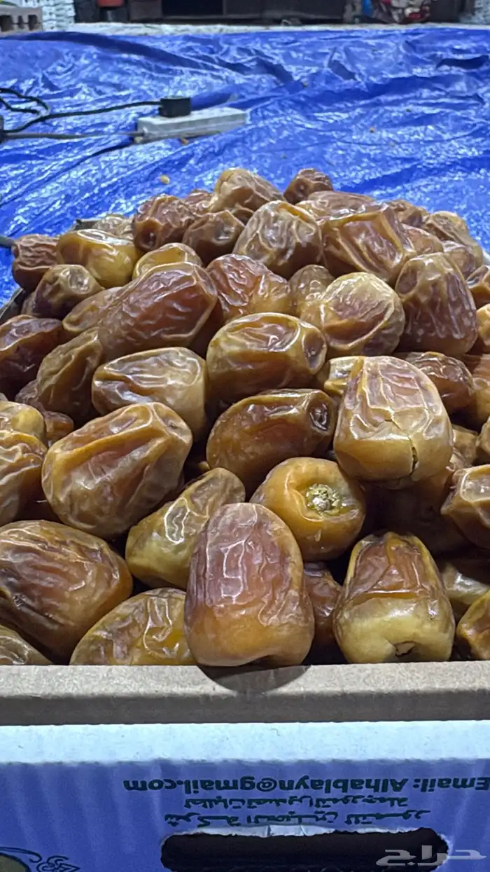 للبيع تمور ملكي جلكسي ومفتل 0