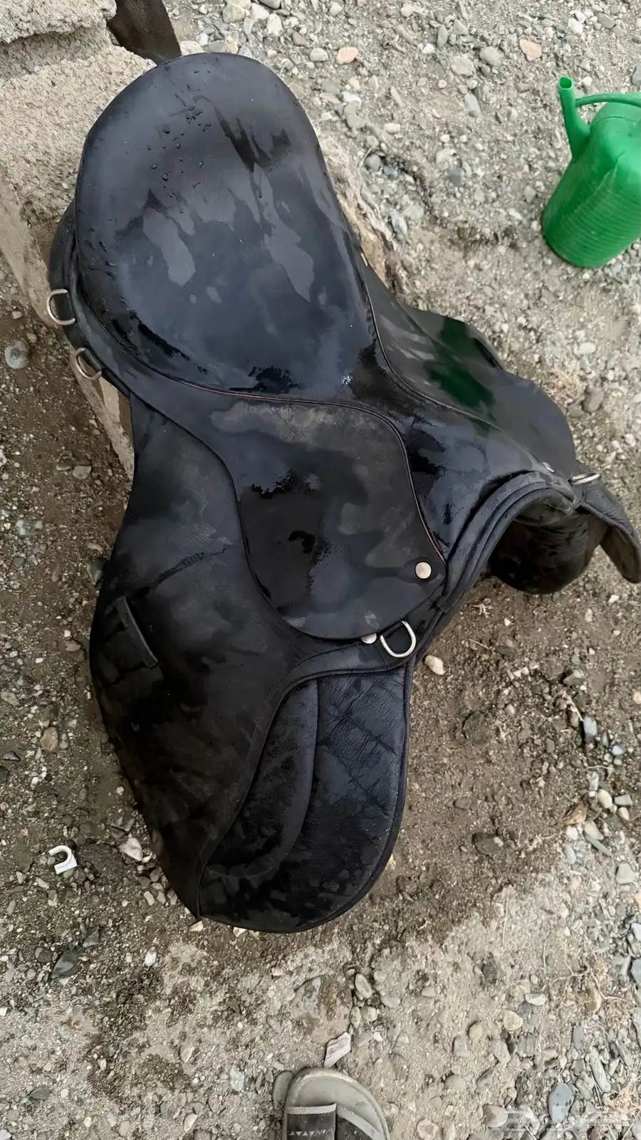 سرج خيل index