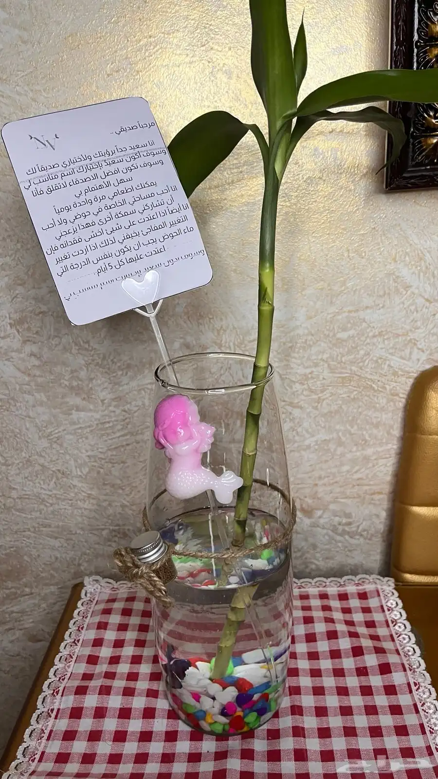 سمك فايتر 0