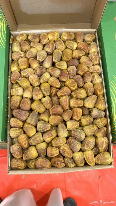 تمر رطب ومفتل لايوجد تفريد 0