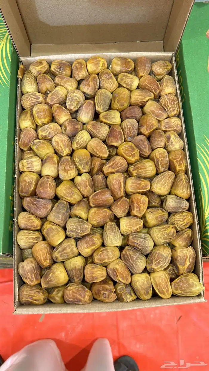 تمر رطب ومفتل لايوجد تفريد 0