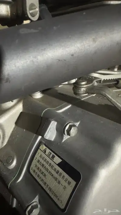 دباب صحراوي مهدي 7