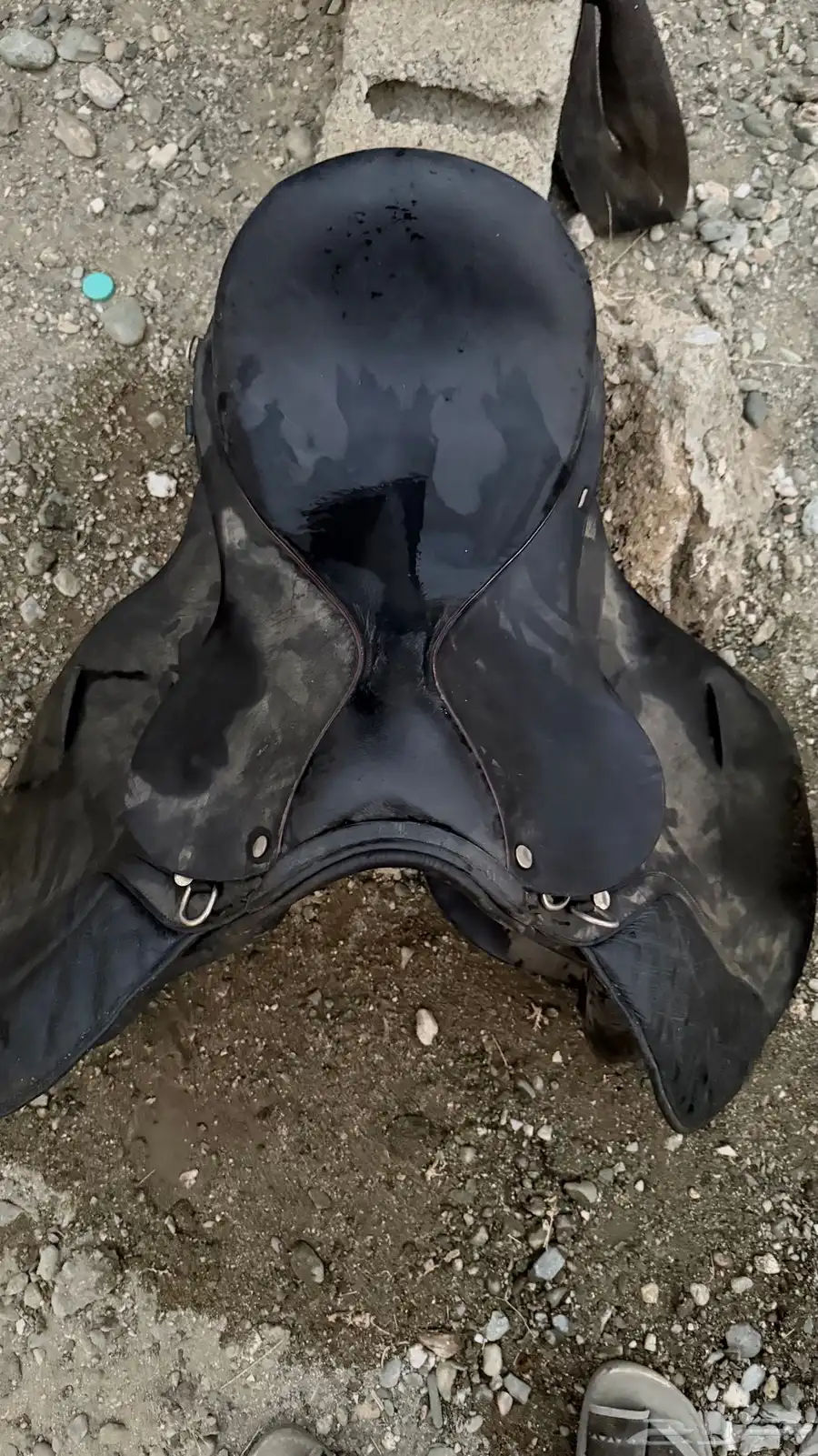 سرج خيل index