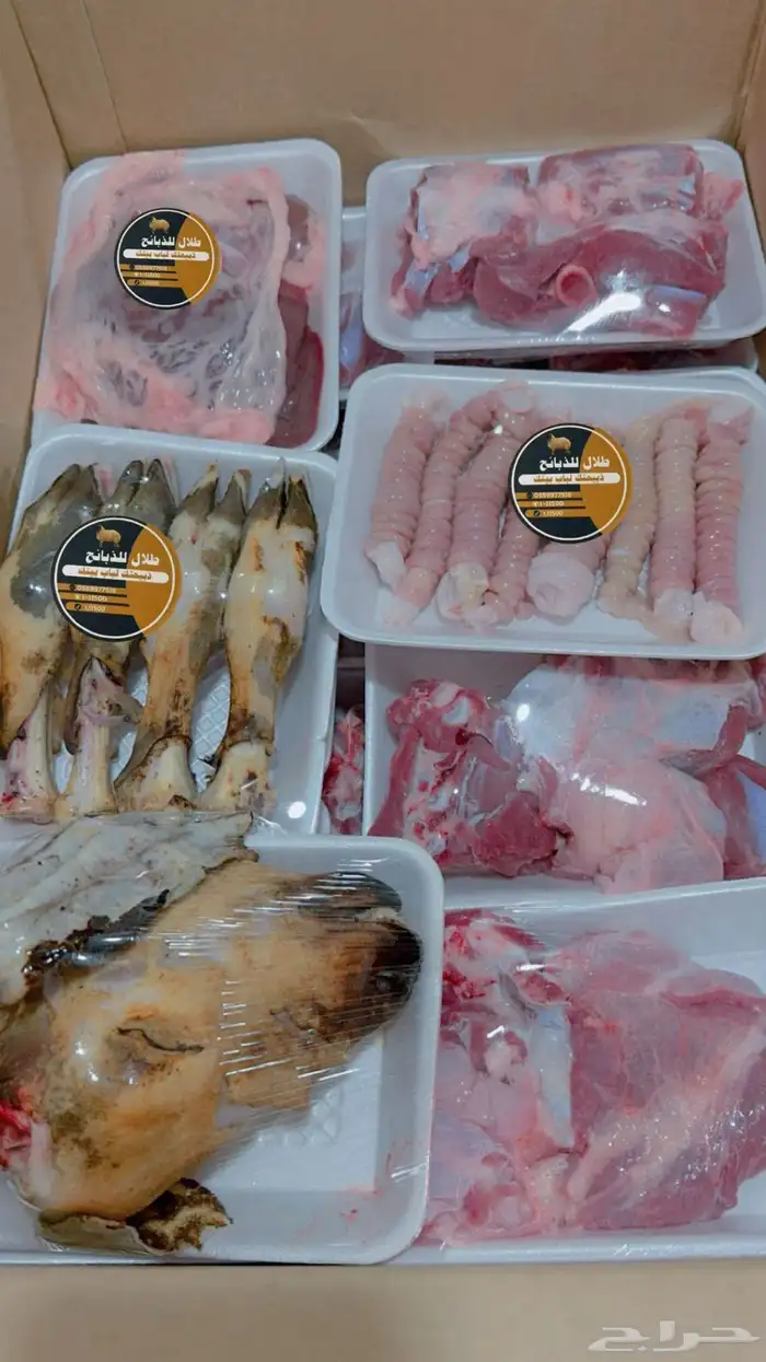 ذبائح حائل 7