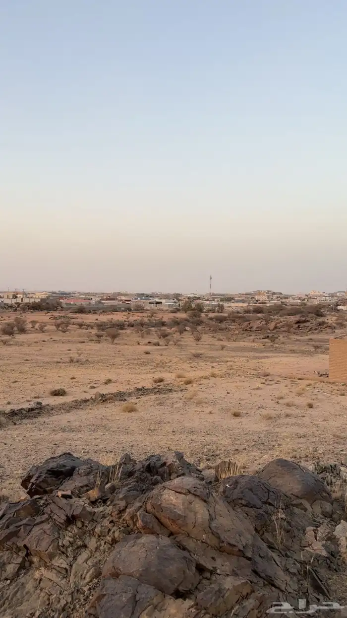 مزرعه بصك زراعي 55700م للبيع بالواصليه 3