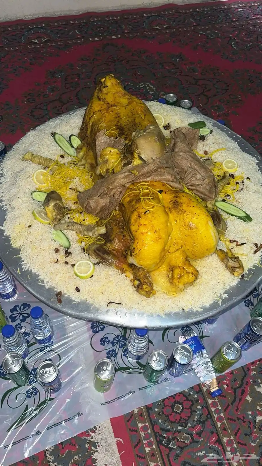 ذبائح حائل index