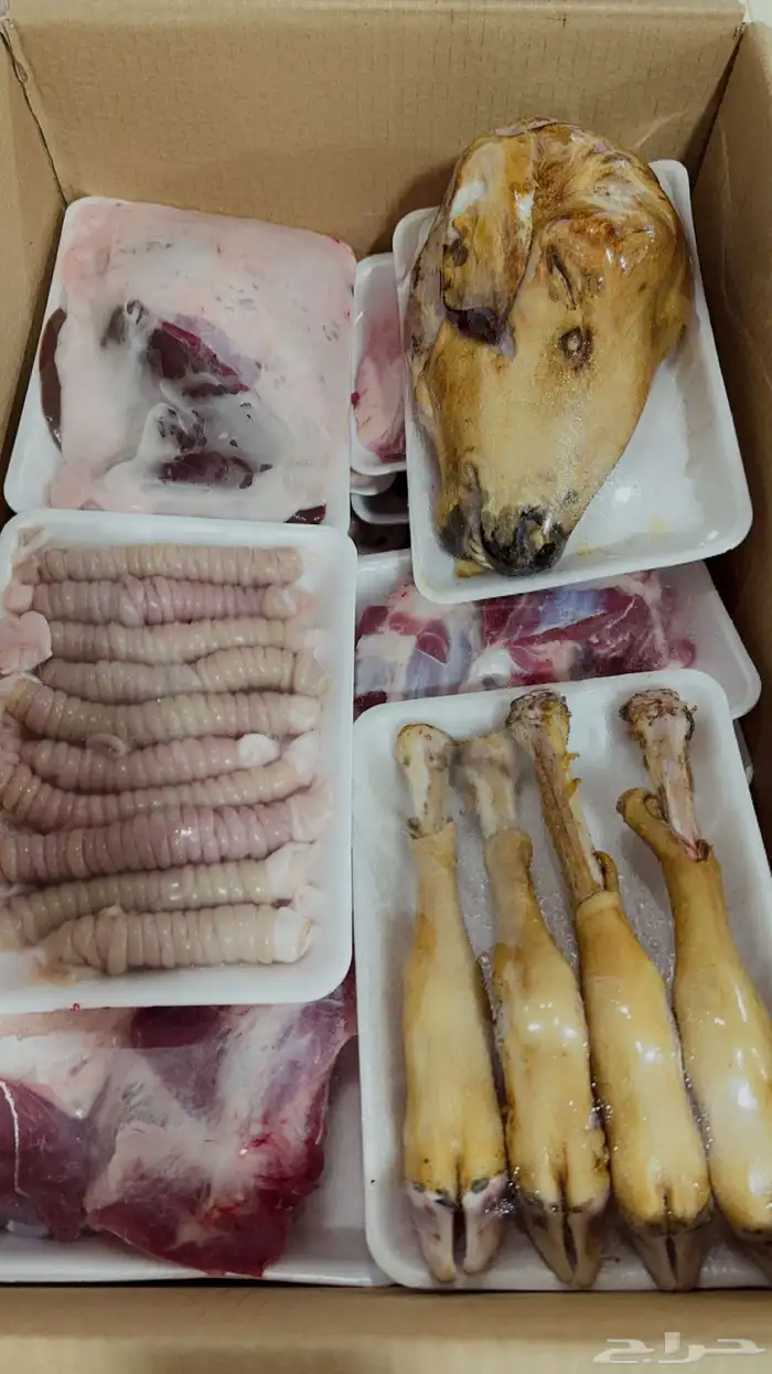 ذبائح حائل 11