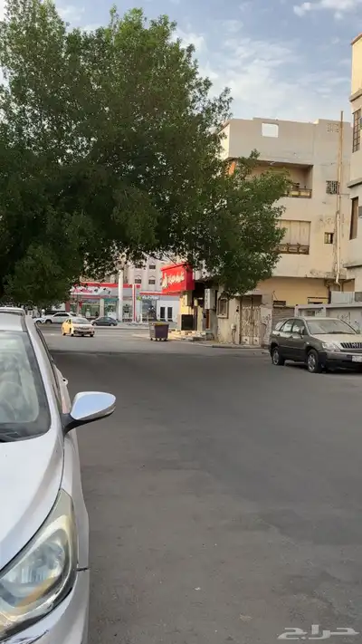 كروان ضايع ف جبل النور 0