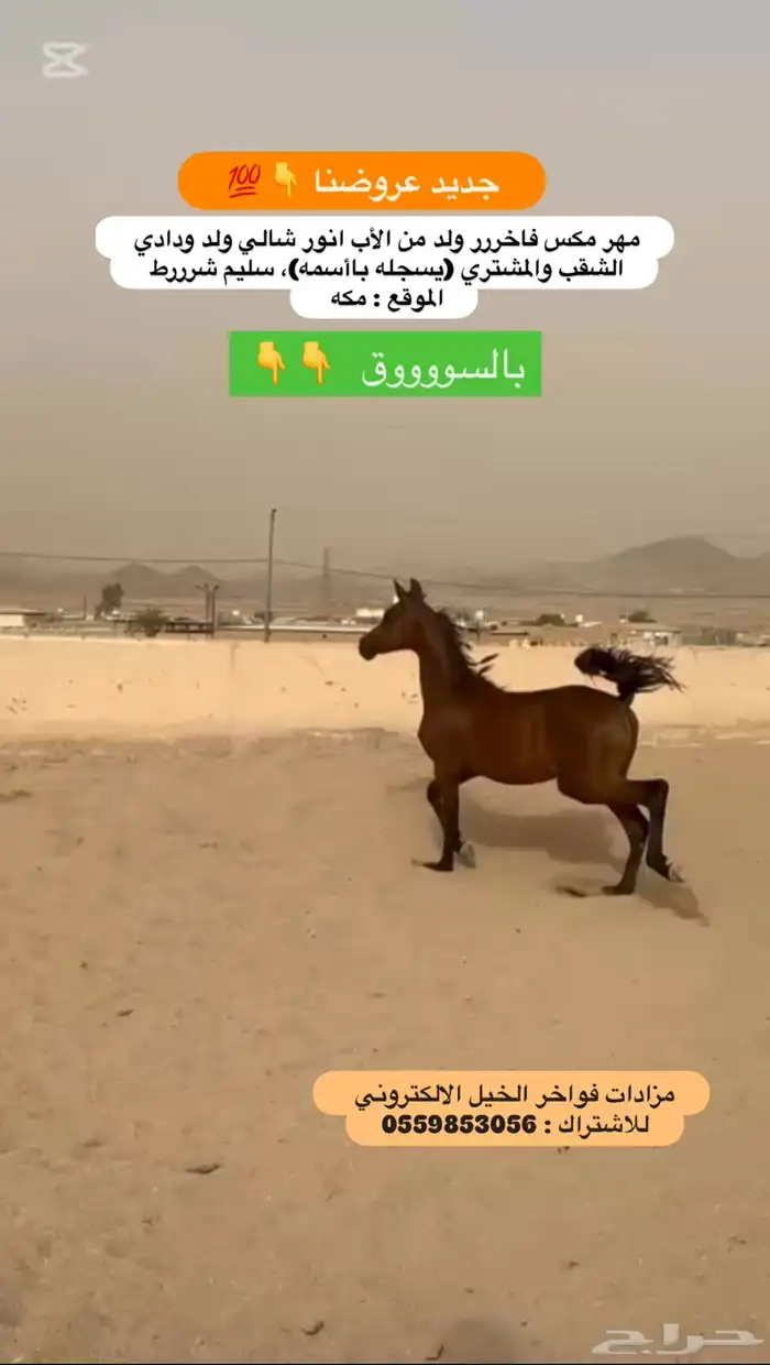 مهر مكس 0