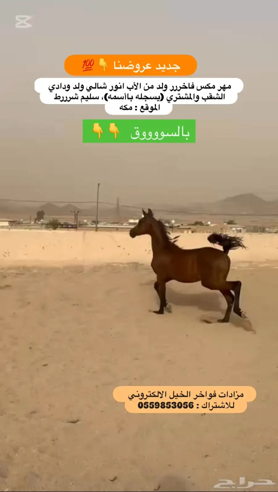 مهر مكس 0