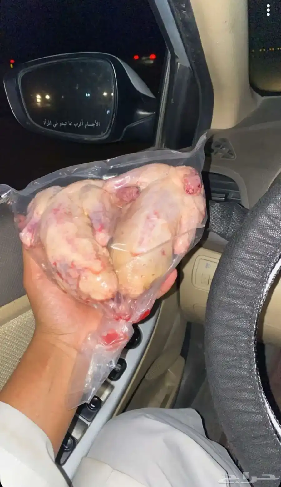 حمام فرنسي لاحم و زغاليل بأفضل سعر 2
