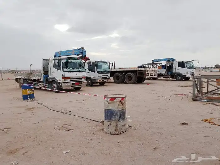 تأجير جميع انواع الكرينات 13