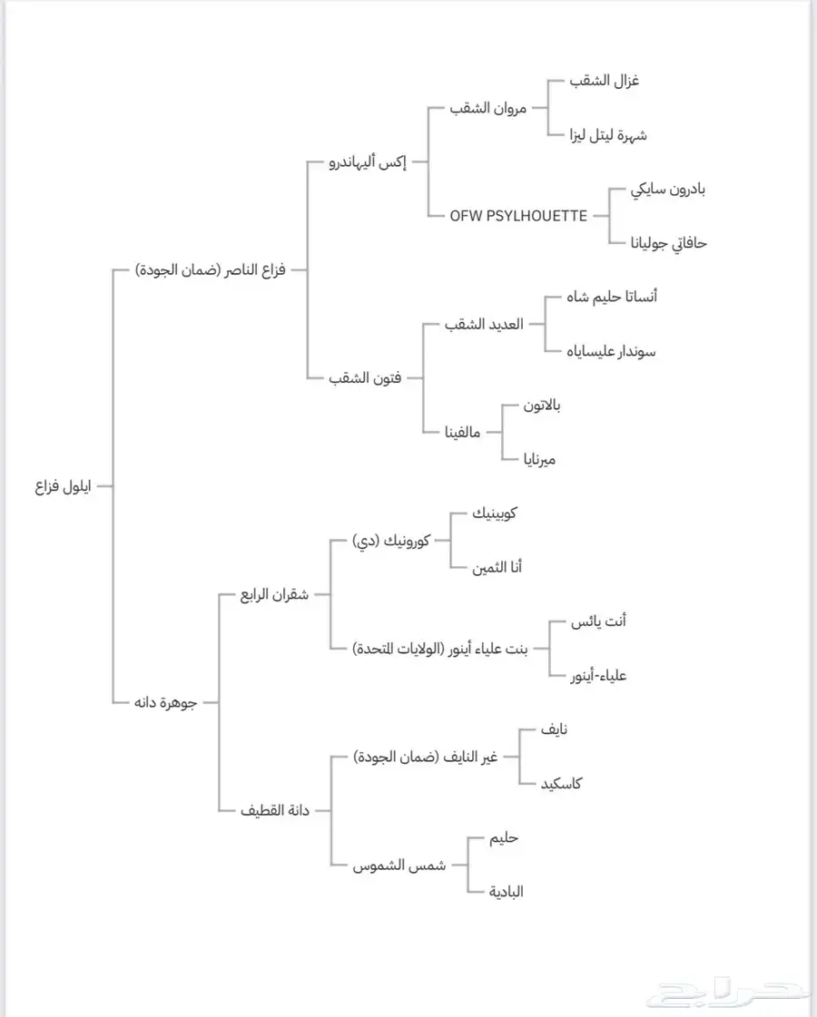فرس واهو مكس حفيدة إليهاندرو وكرونيك index
