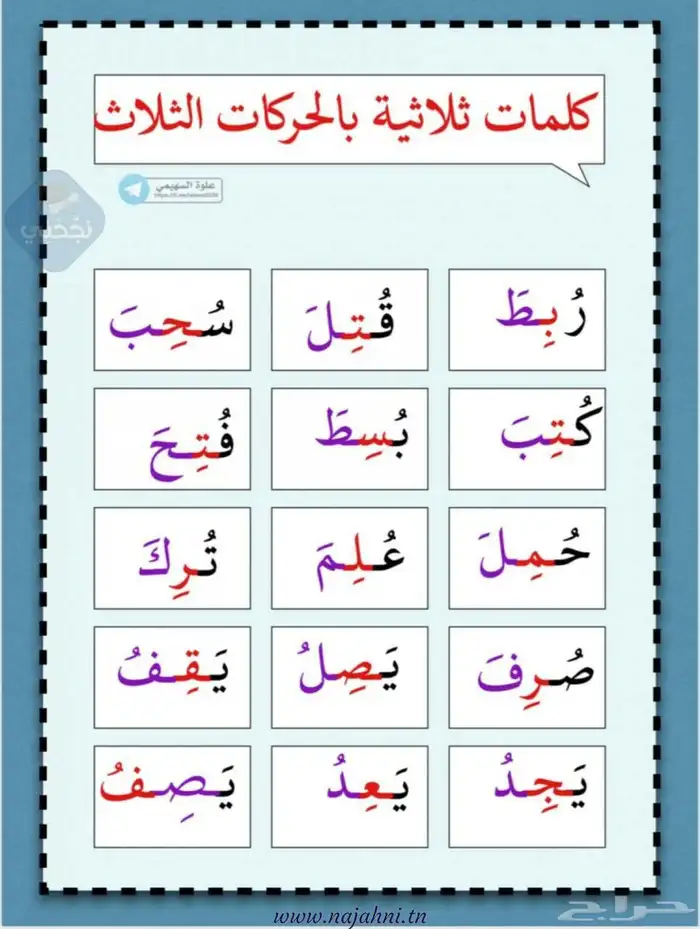 معلمة خصوصية عن بعد 1