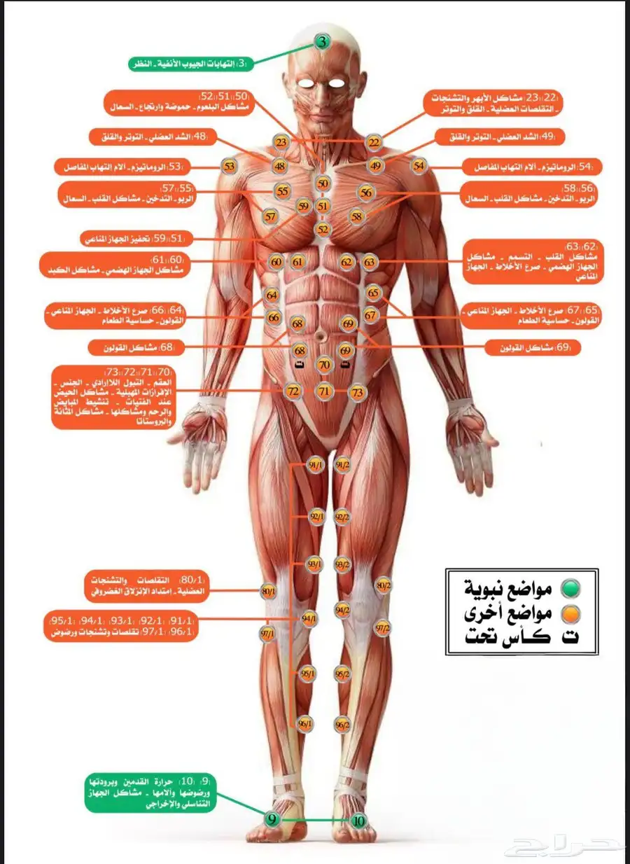 أخصائي حجامة سوداني بالرياض index