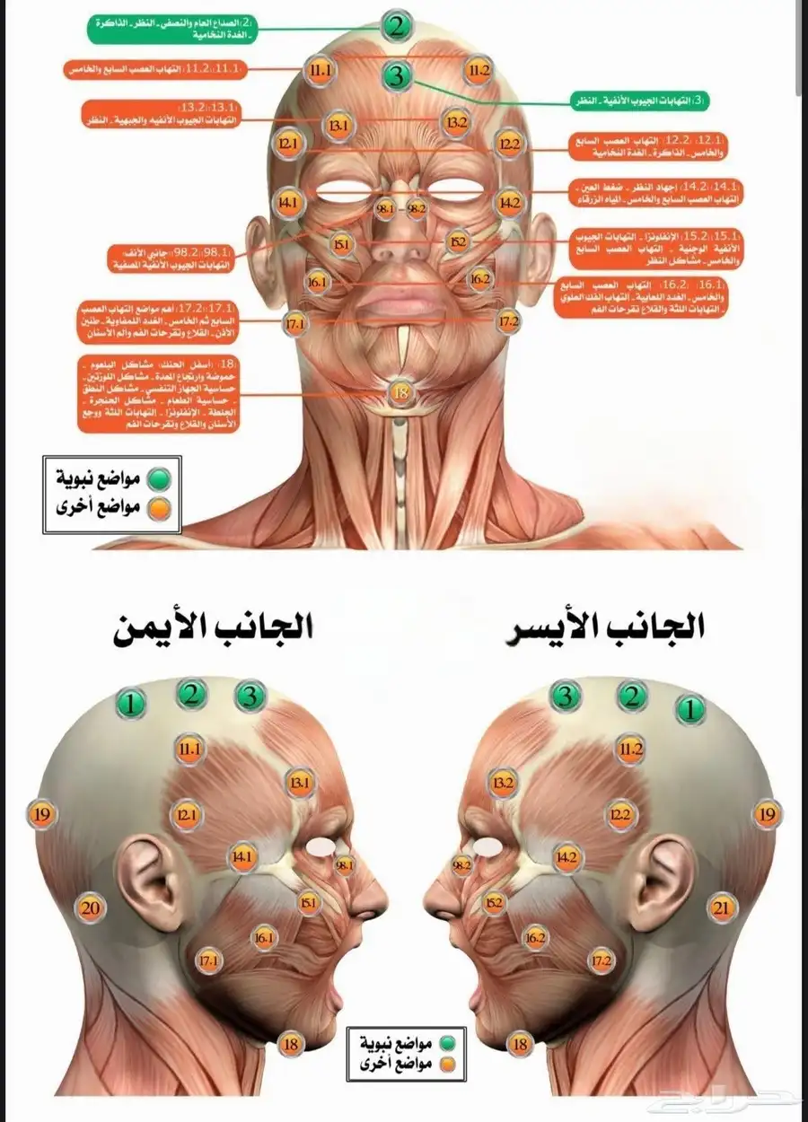 أخصائي حجامة سوداني بالرياض index