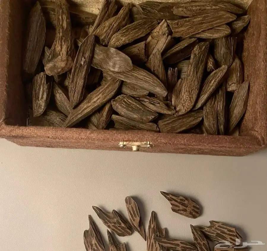 عود ازرق فاخر وسعر مناسب وفيه جمله للي حاب 0