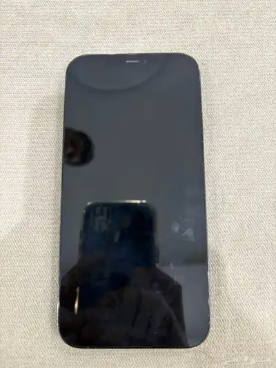 12 برو ماكس 1