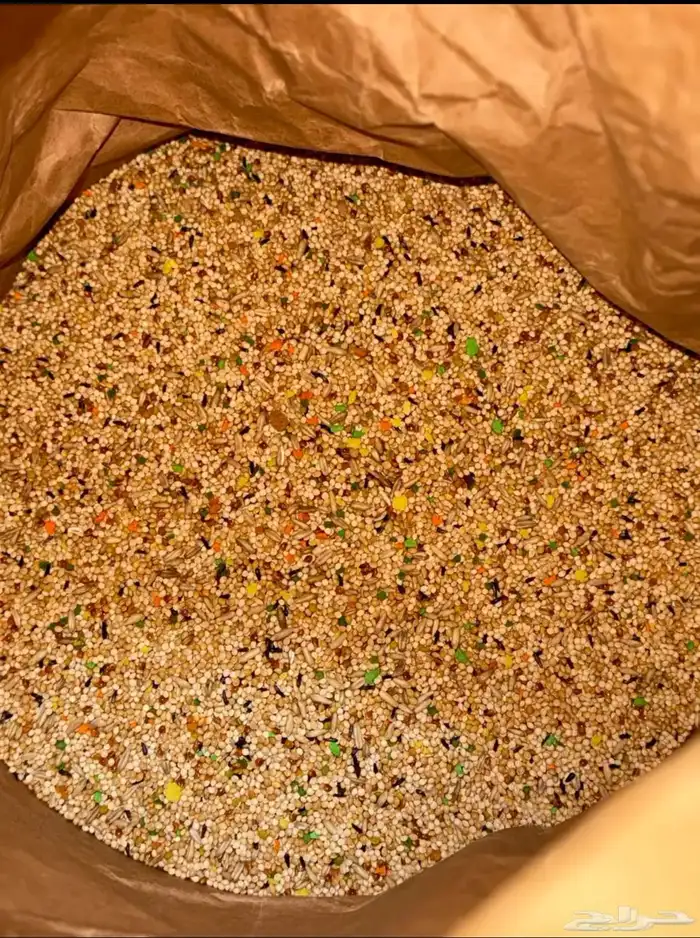 حب طيور 1