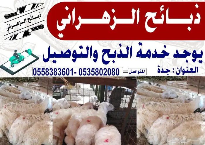 للبيع ذبايح حريات 0