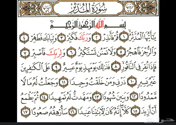 معلمة خصوصية عن بعد 13