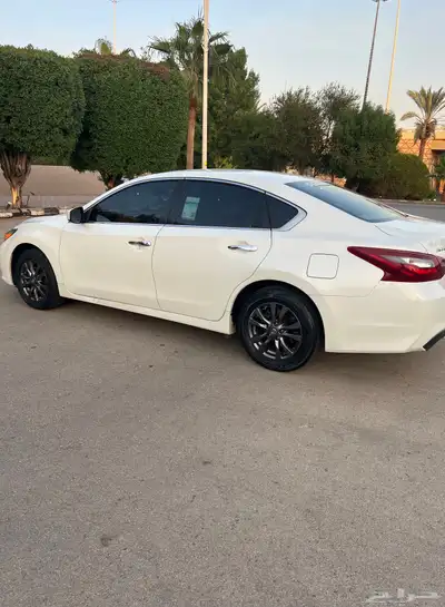 التيما فئة S ستاندر 7