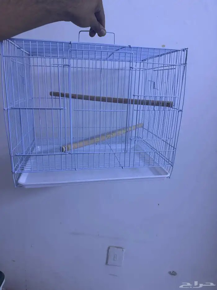 فرخ كنيور هدد. (تم البيع) 1