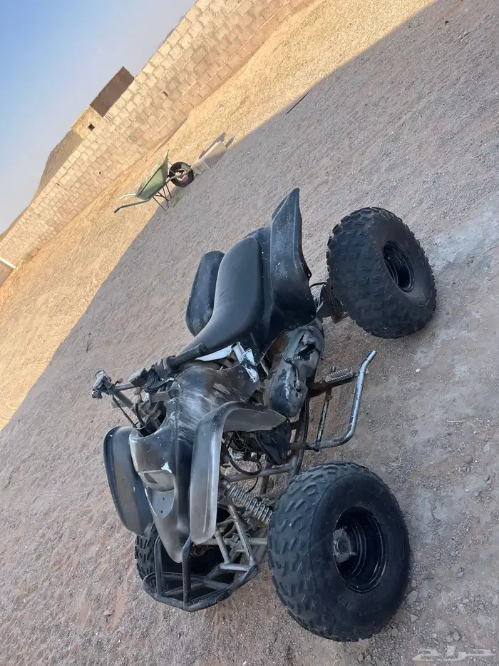 دباب سويدي للبيع 2
