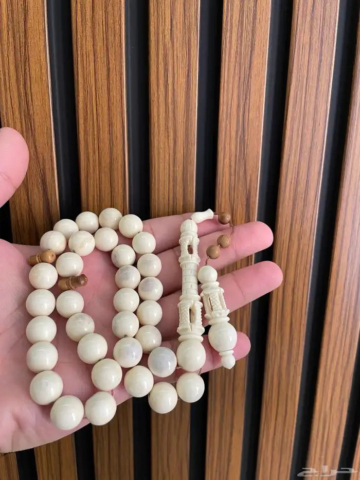 مسباح عظم نعام 0