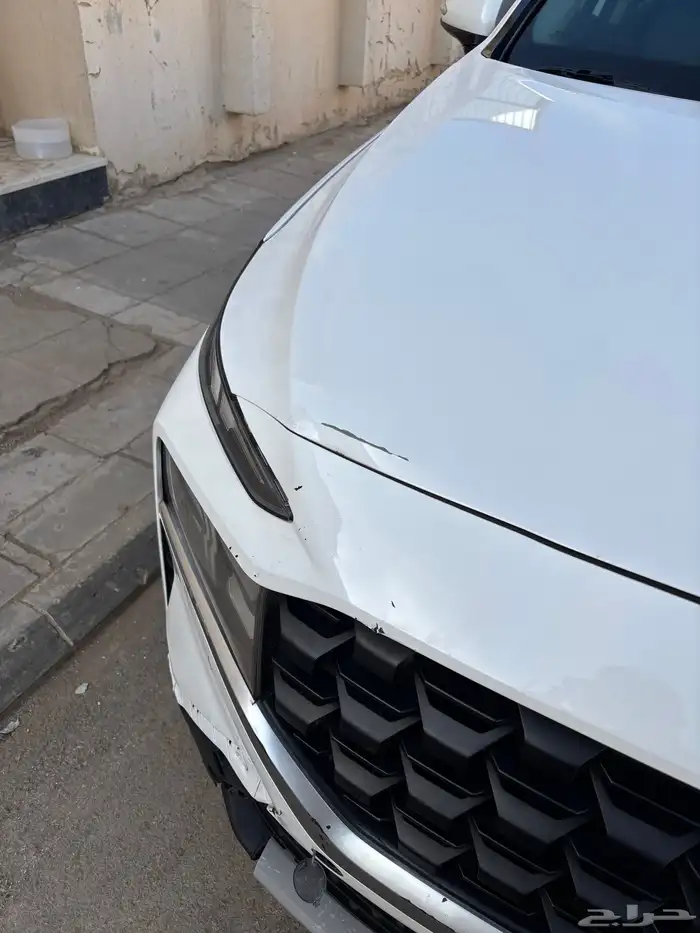 سنتافي 2022 5