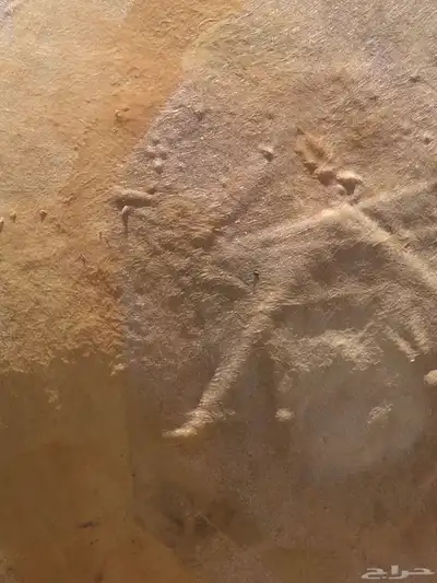 توانك المهيدب للبيع 9
