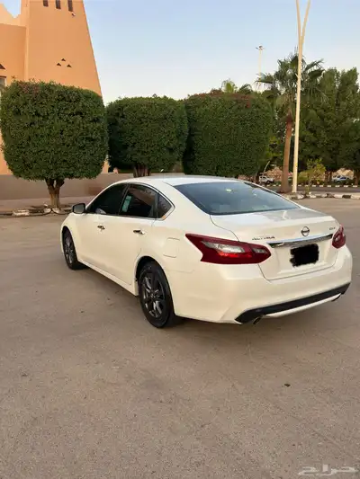 التيما فئة S ستاندر 5