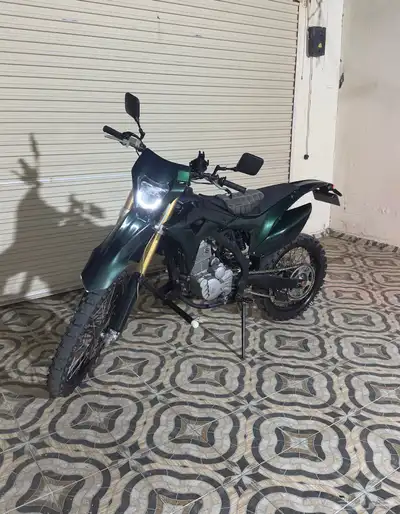 دباب صحراوي مهدي 11