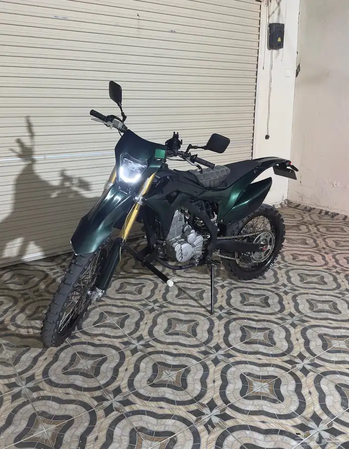 دباب صحراوي مهدي 11
