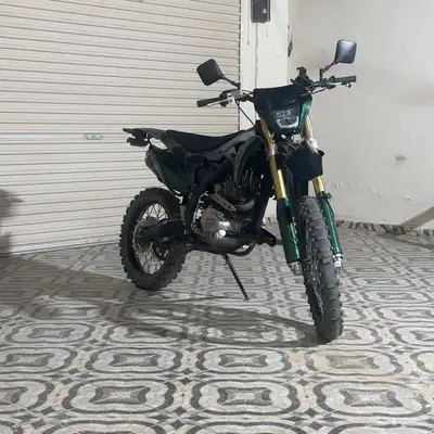 دباب صحراوي مهدي 1