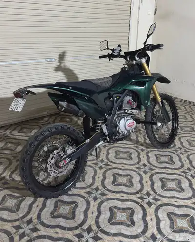 دباب صحراوي مهدي 12