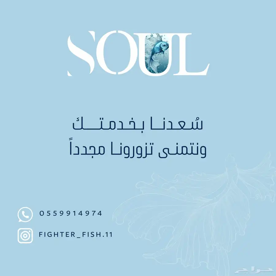 احواض سمك فايتر 0
