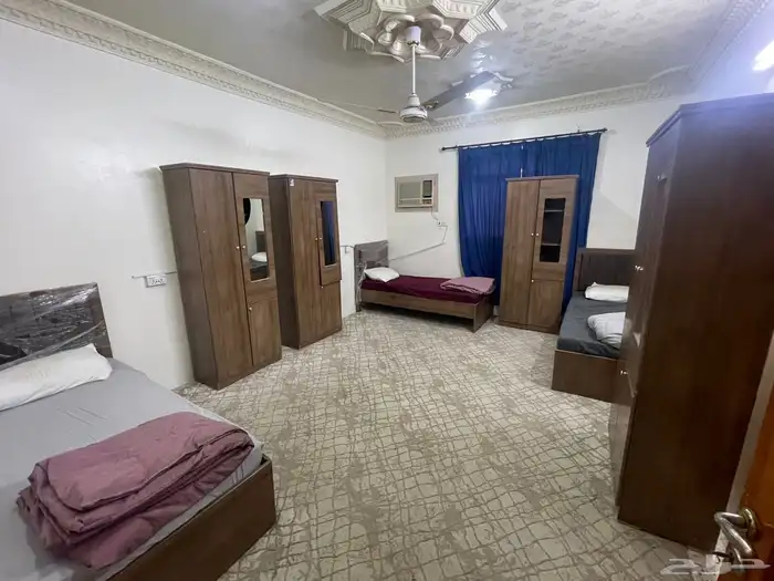 ضباء حي المقيطع 0