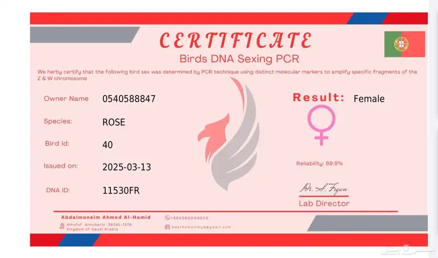 انثى روز index