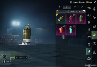 ببجي 34