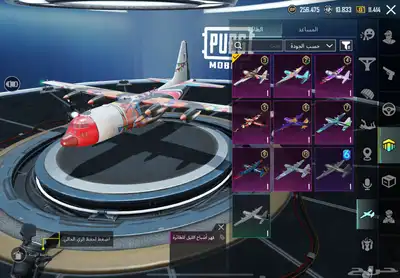 ببجي 31