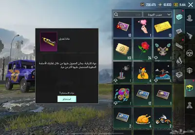 ببجي 21